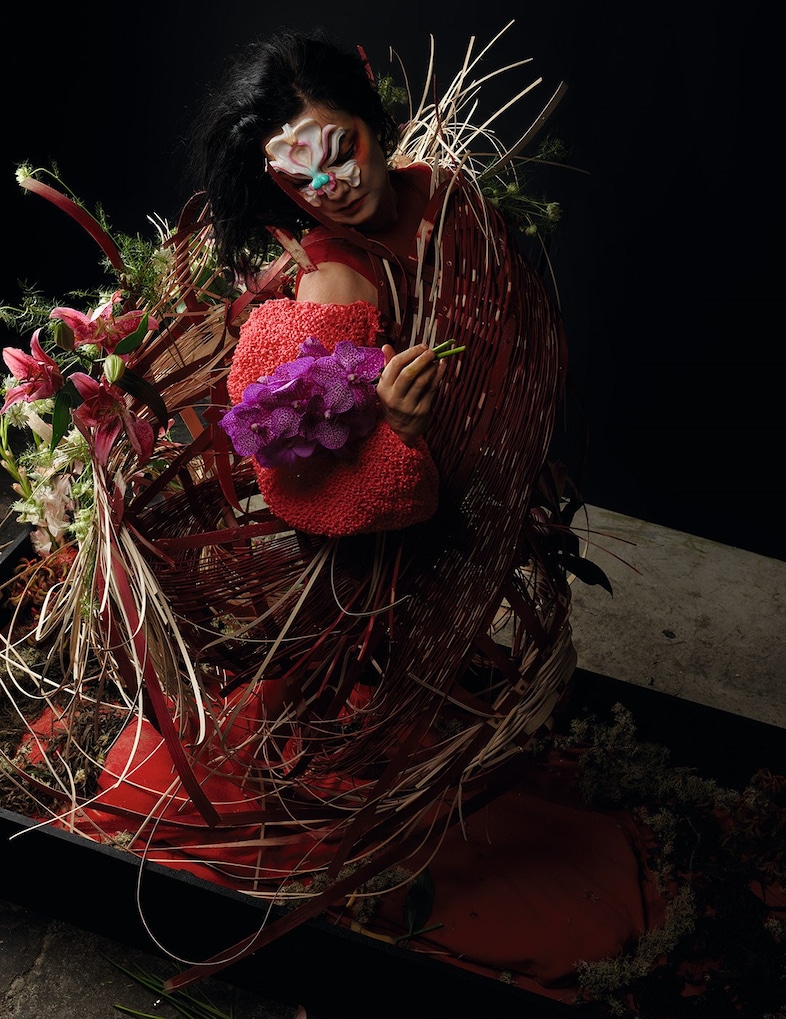 Bj&#246;rk – autumn 2017 6