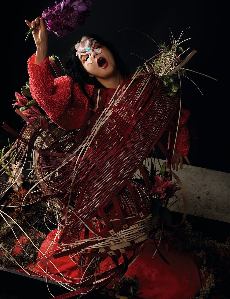 Bj&#246;rk - autumn 2017