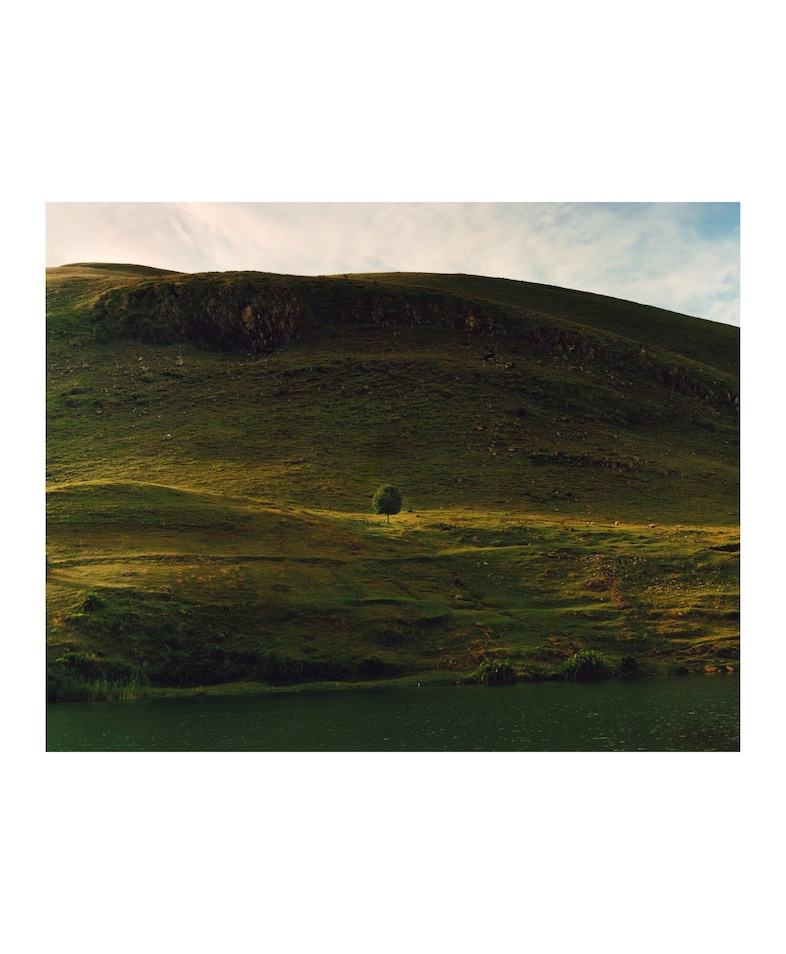 Jamie Hawkesworth, Landscape With Tree 8