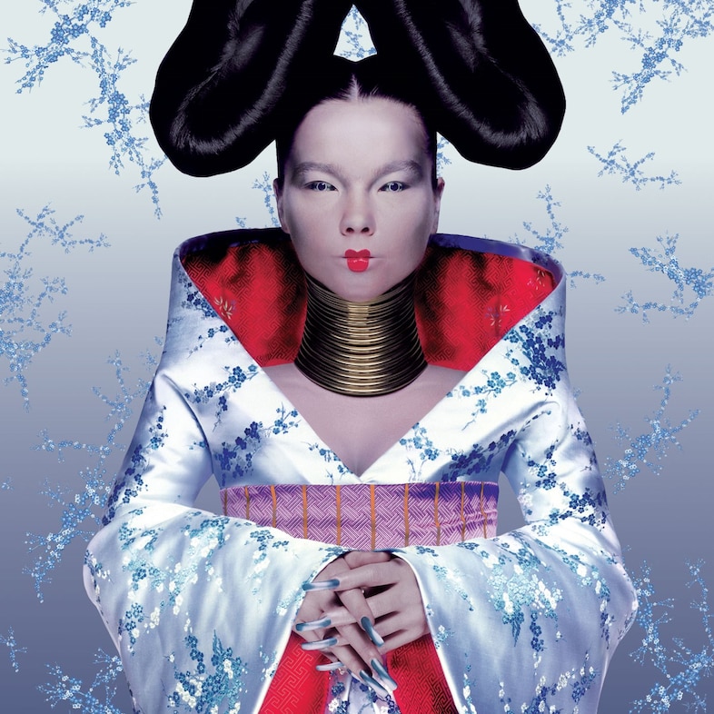 Bjork Homogenic