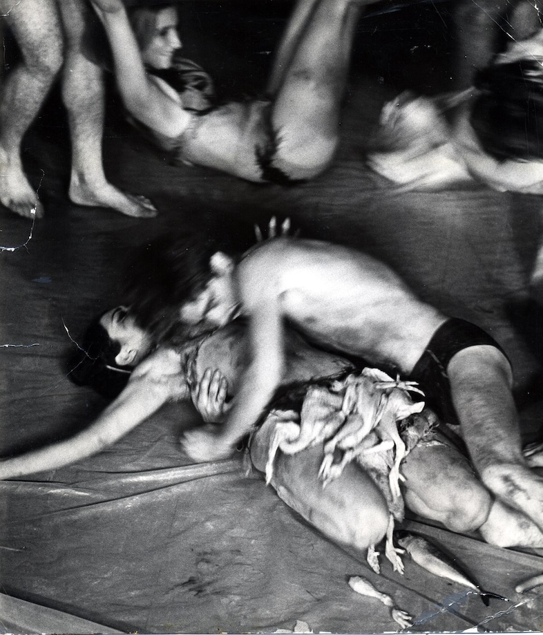 Carolee Schneemann at PS1 10