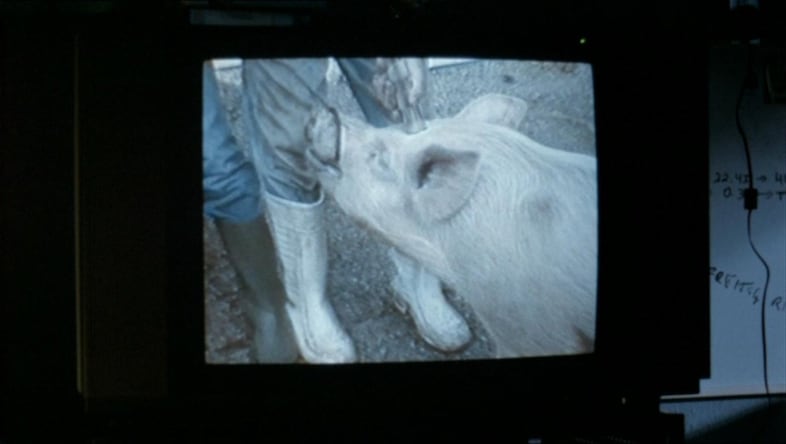 haneke