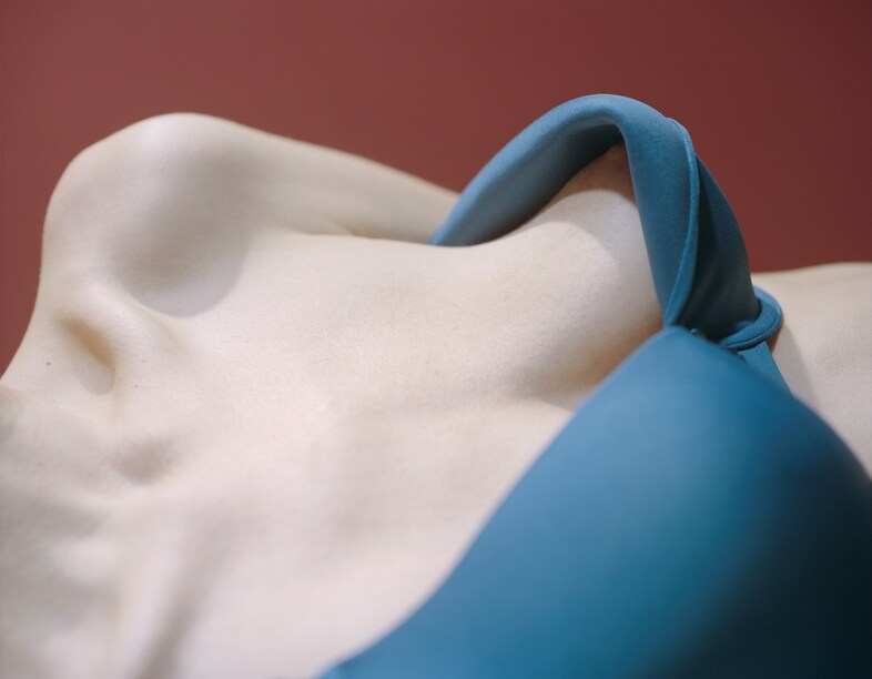 Posturing: Photographing the Body in Fashion