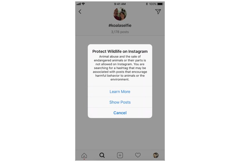 wildlife instagram