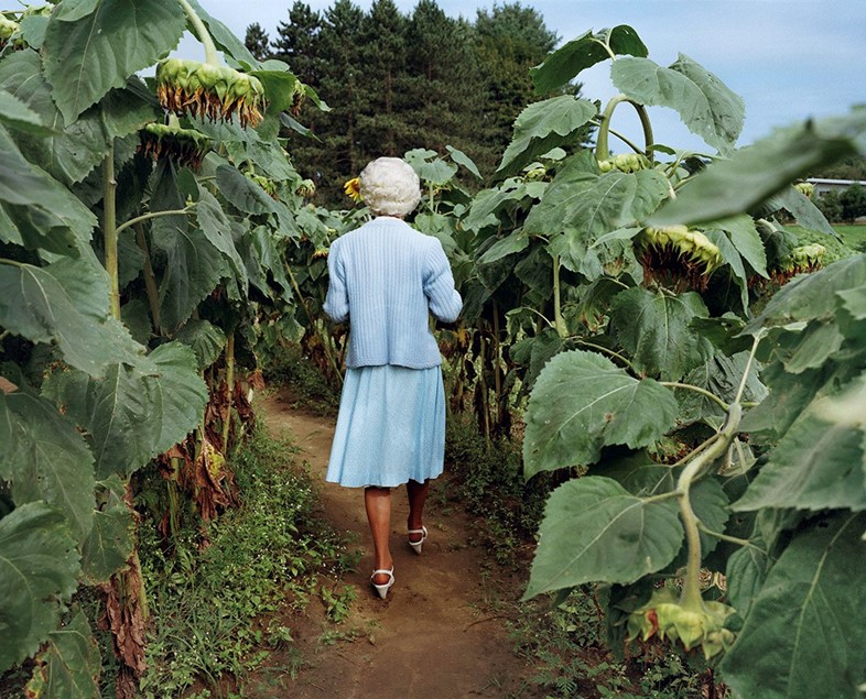 The Photographer in the Garden