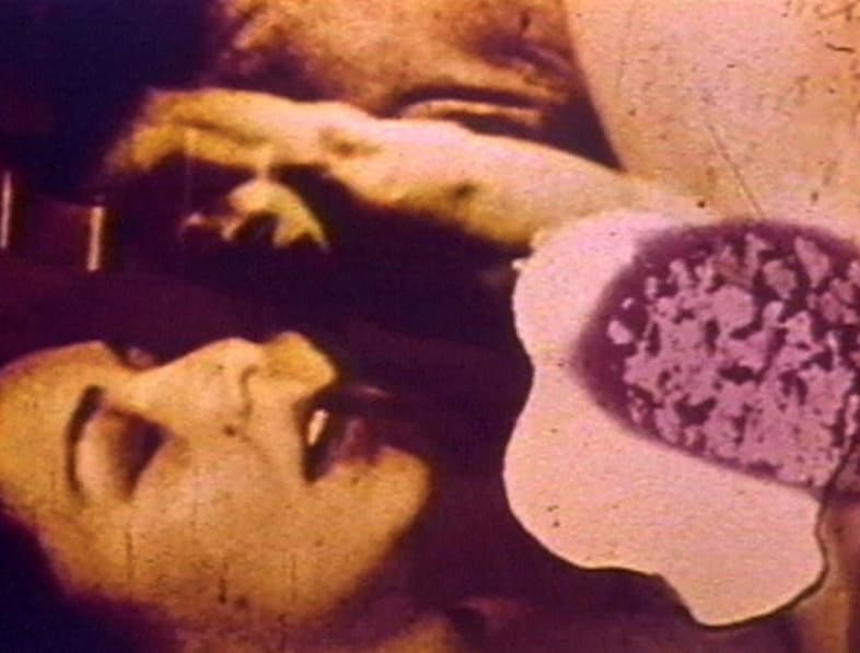 Dirty Looks_Carolee Schneeman_Fuses