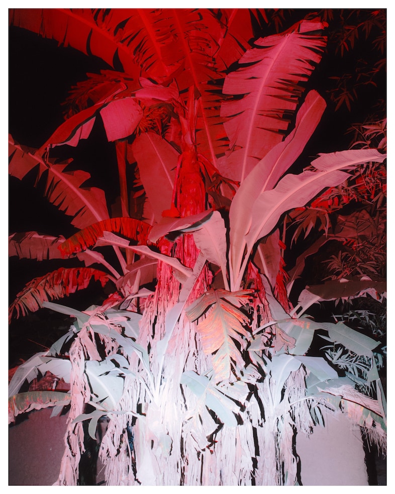 Baloji - Peau de Chagrin Bleu de Nuit music video 15