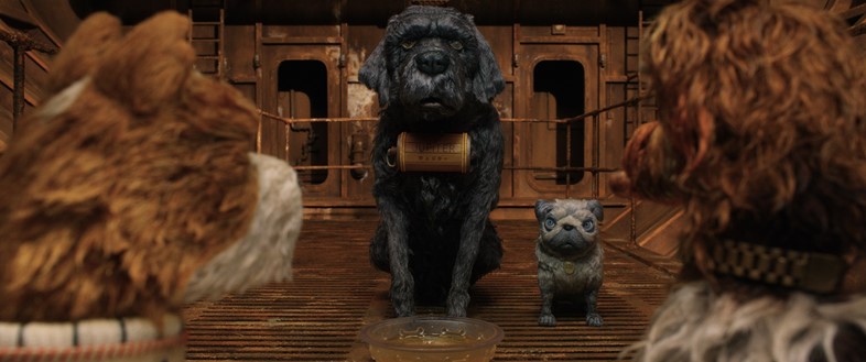 Wes Anderson Day