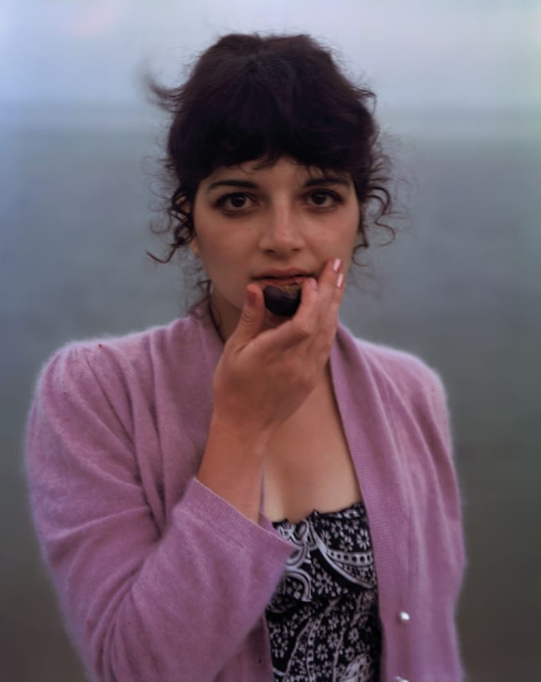 Joel Meyerowitz 3