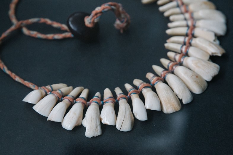 Horse-tooth necklace
