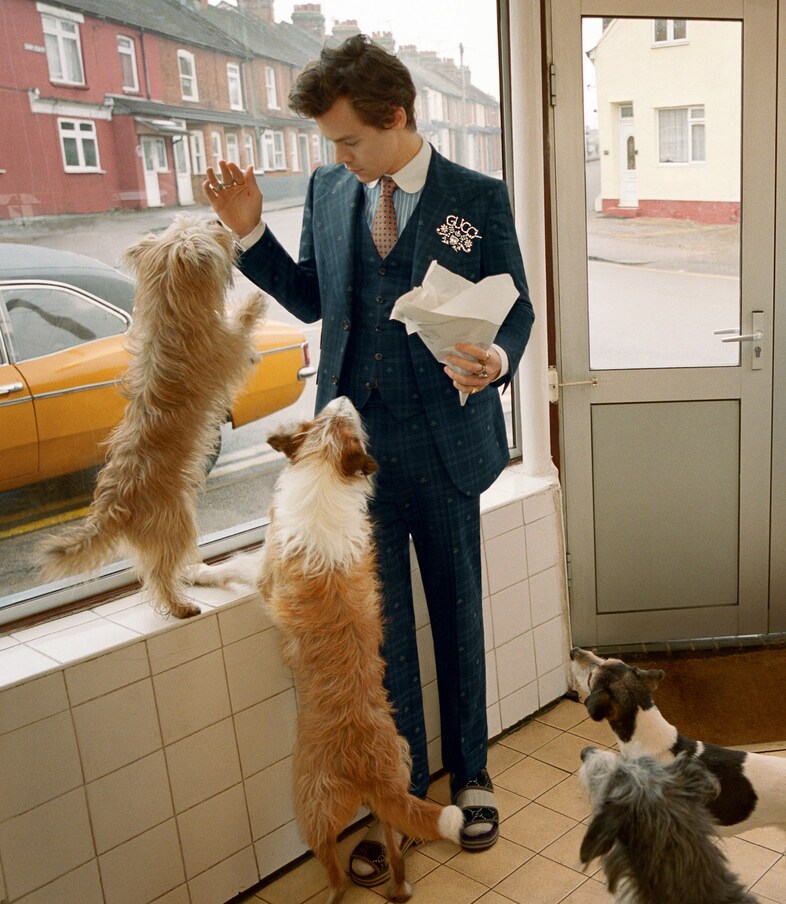 gucci harry styles alessandro michele campani glen luchford 0
