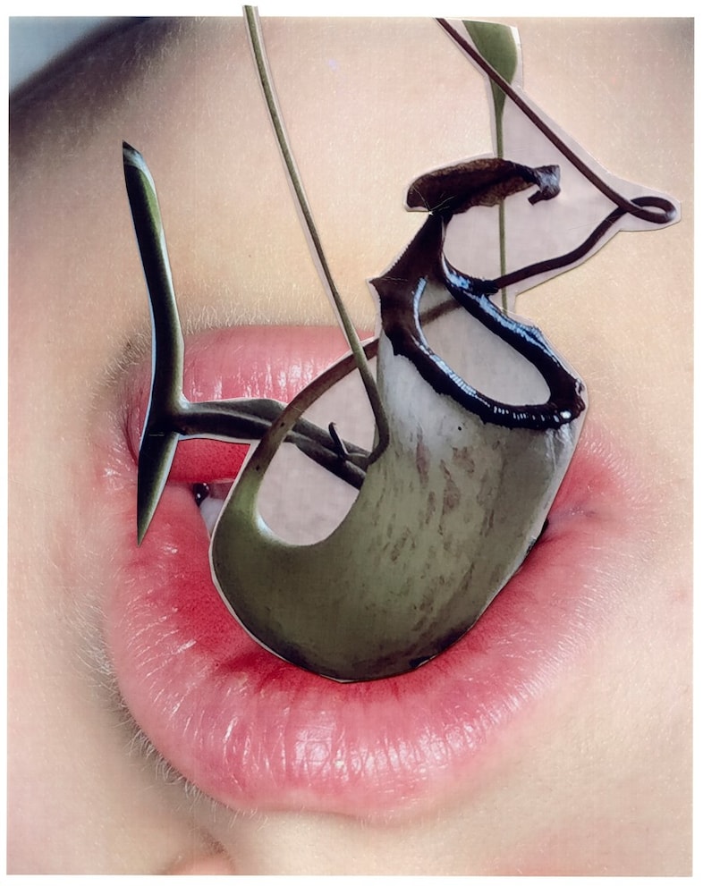 Viviane Sassen’s Hot Mirror 2