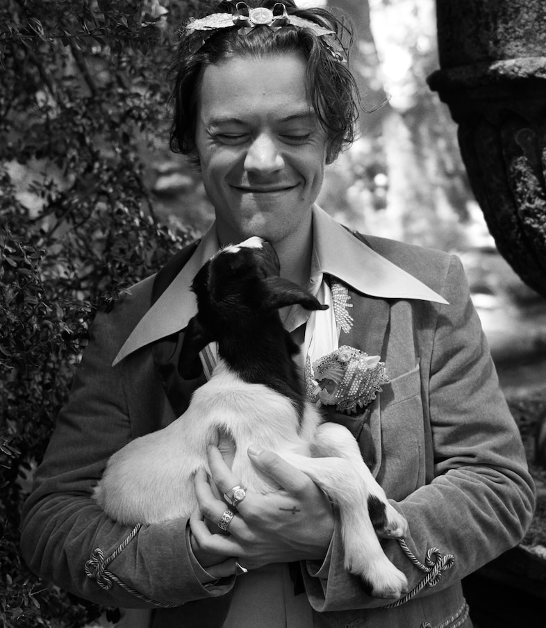 gucci cruise 2019 campaign harry styles glen luchford 1