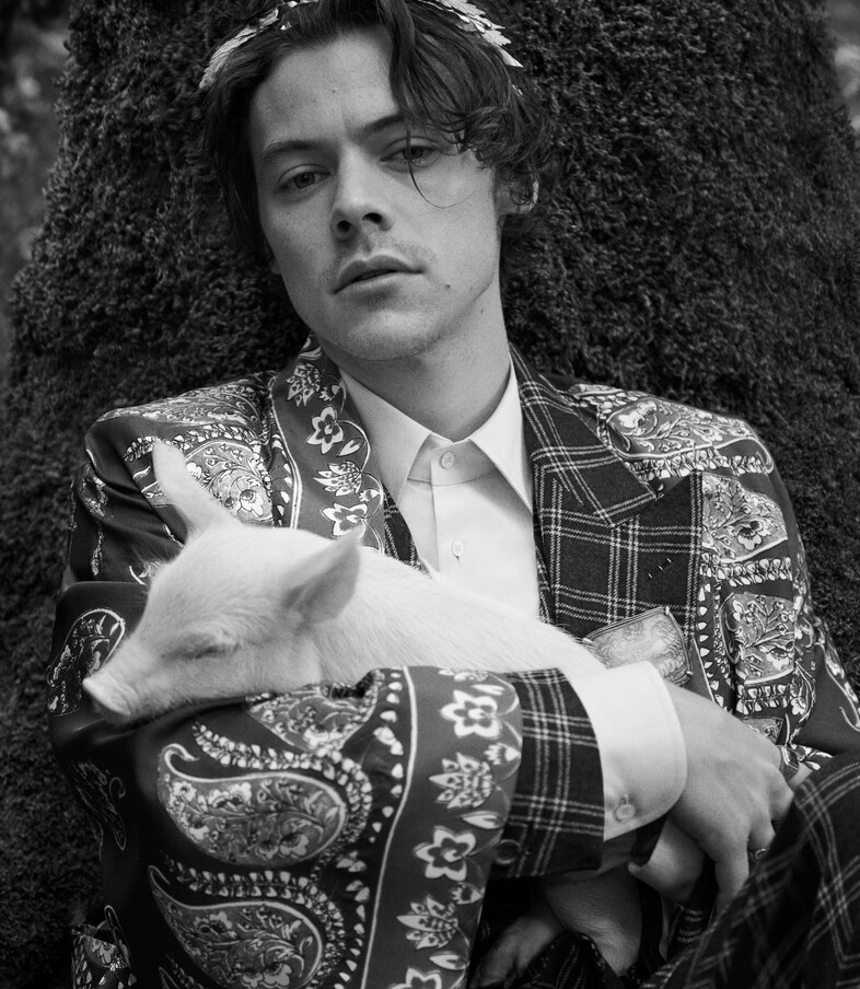 gucci cruise 2019 campaign harry styles glen luchford 3