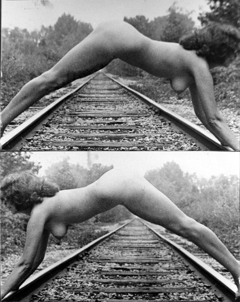 Laid Bare in the Landscape - Carolee Schneeman 0