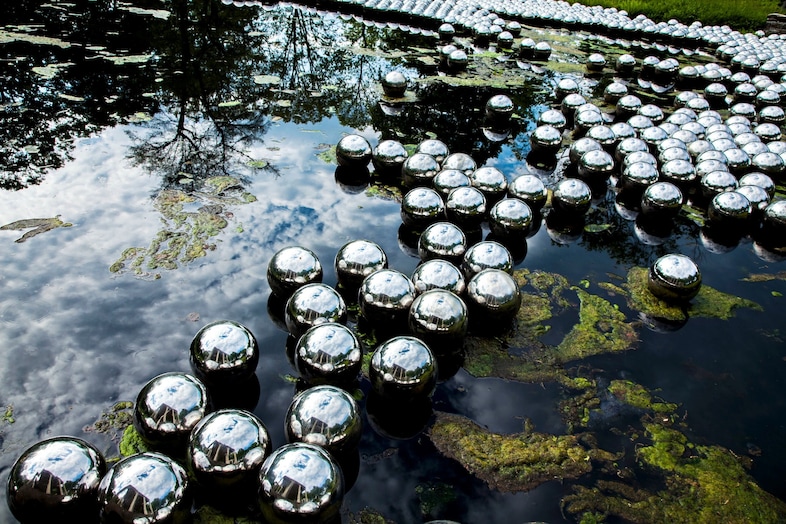 kusama narcissus garden