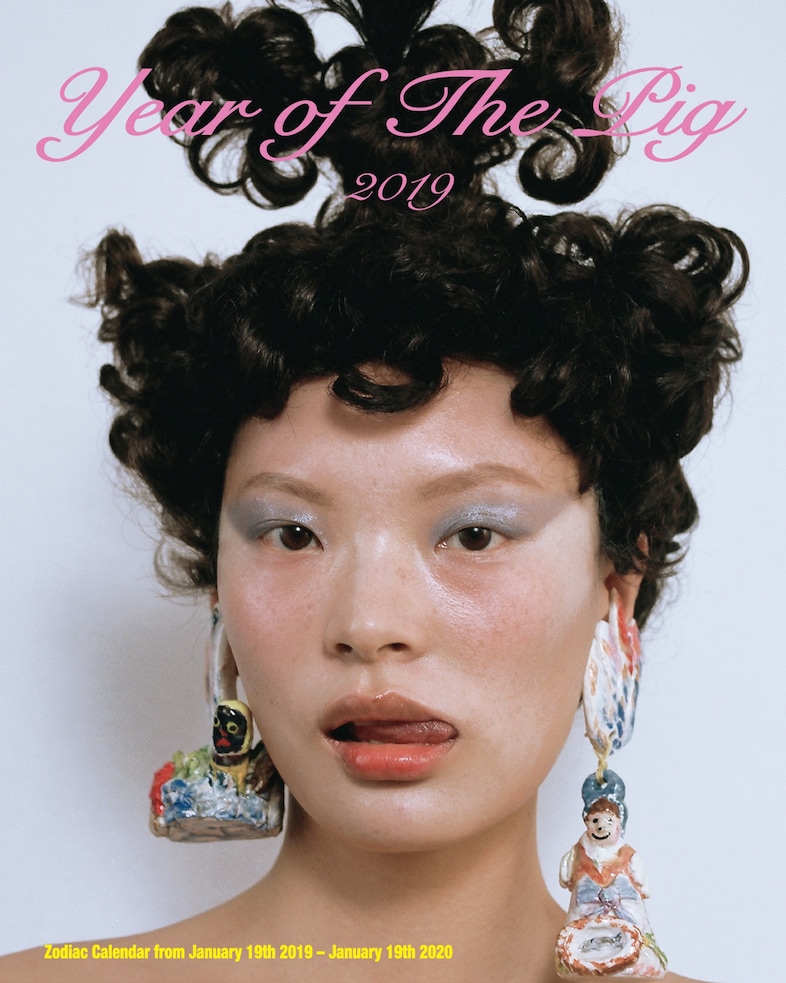Year of the Pig 2019 zodiac astrology calendar 12