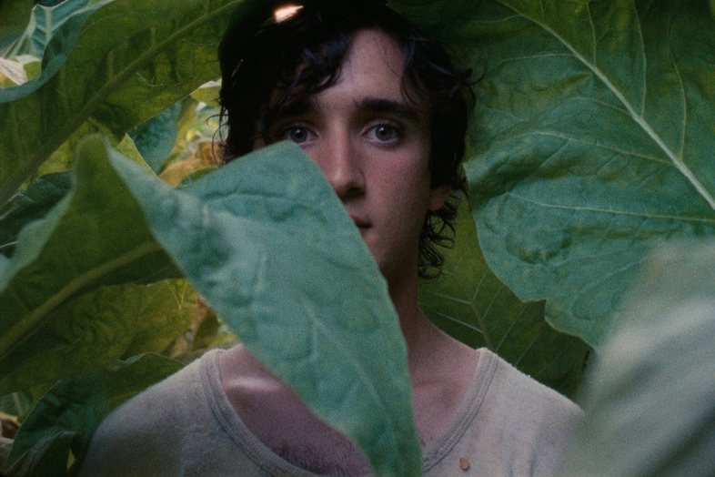 Happy as Lazzaro