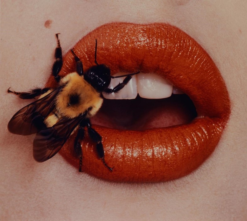 Bee-1995-Irving-Penn