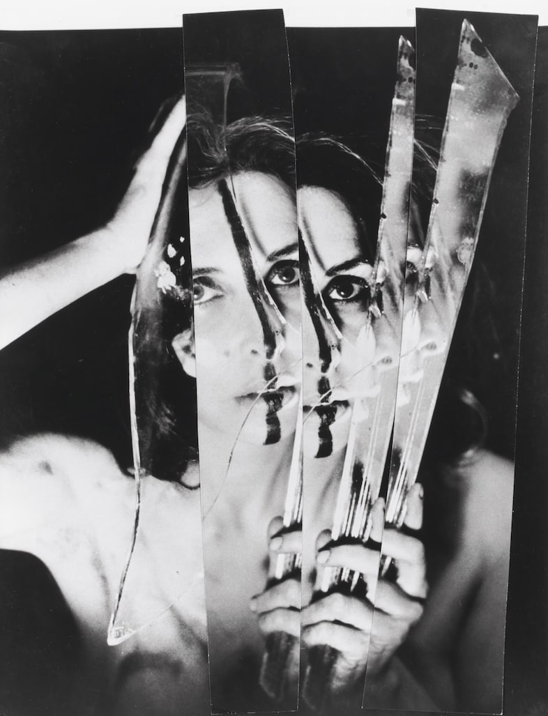 carolee schneemann