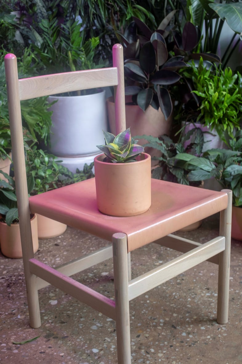 Emilia Ortiz Plants