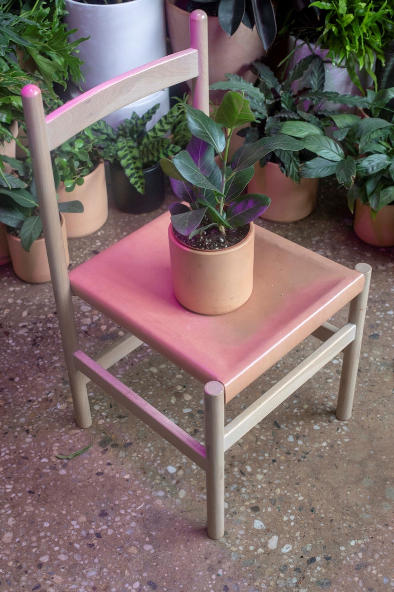 Emilia Ortiz Plants