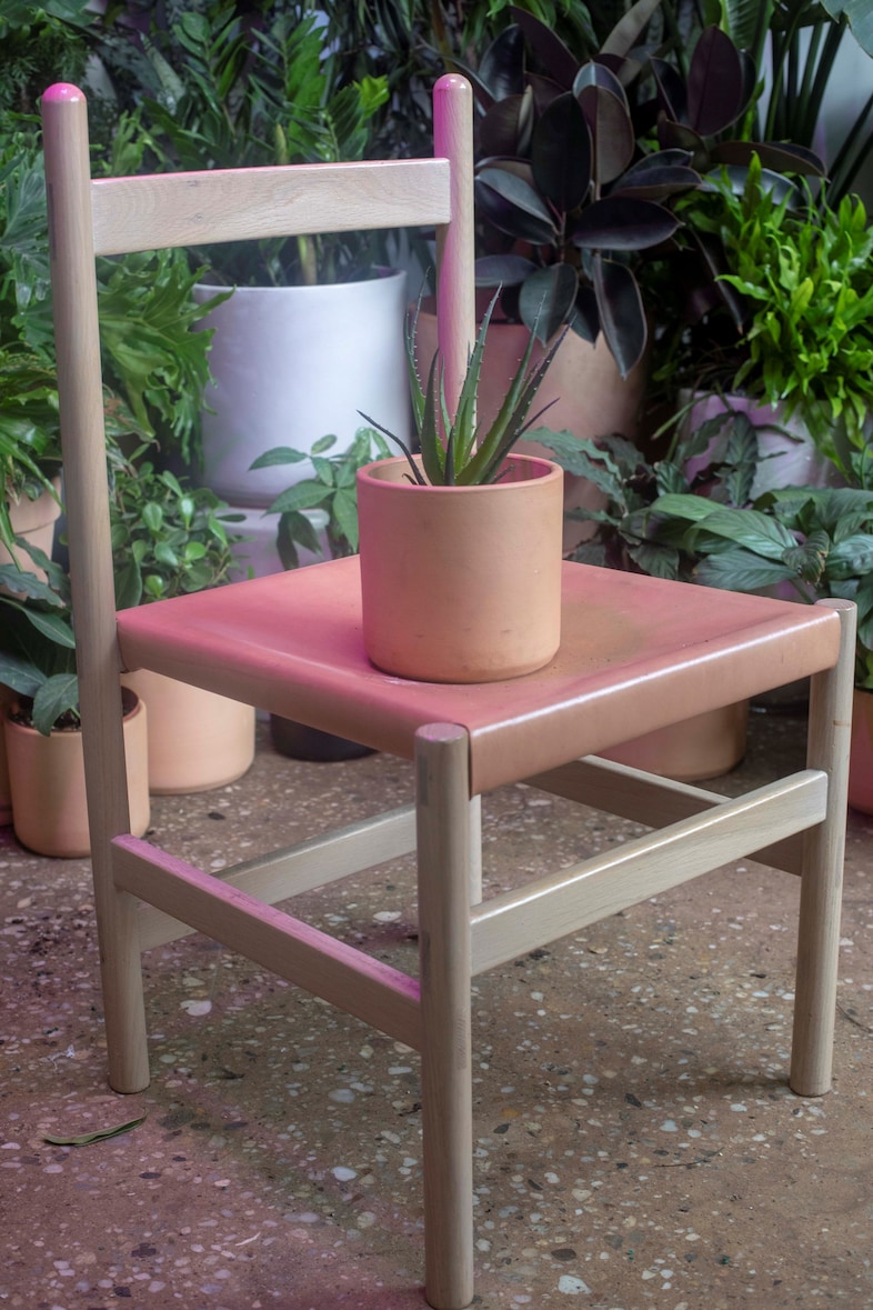 Emilia Ortiz Plants