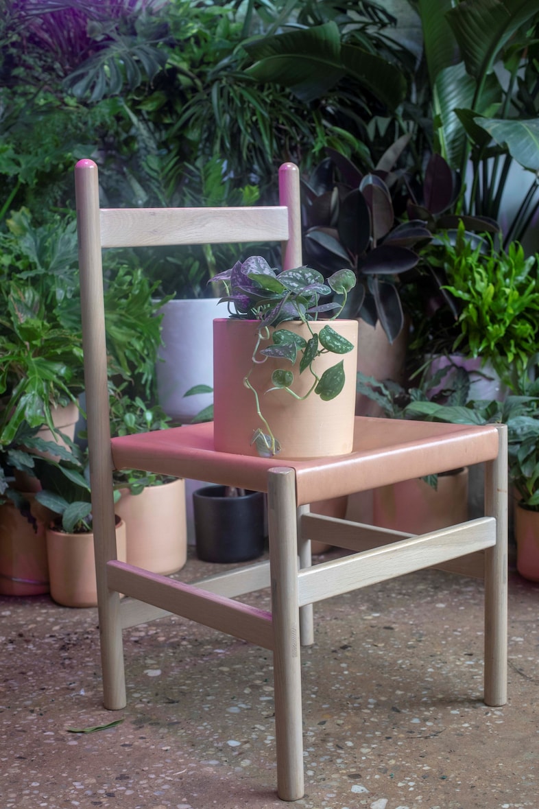 Emilia Ortiz Plants