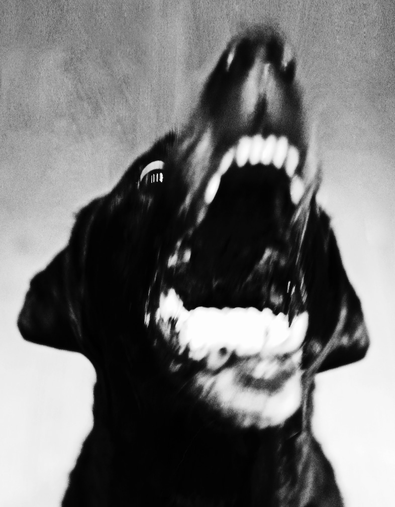 Jack Davison’s Photographs 5