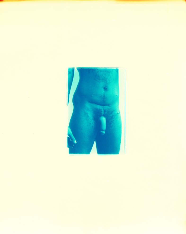 roshaante trans intersex model activist harley weir 1