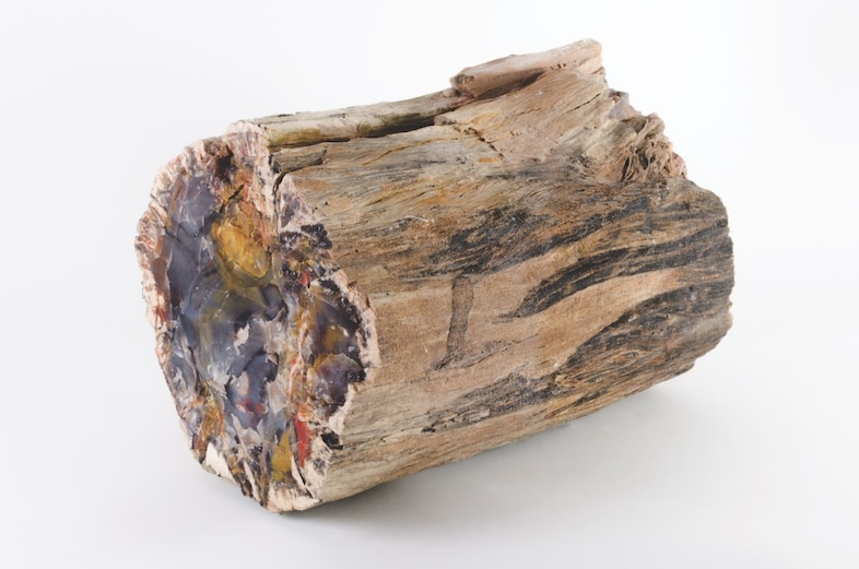 Bad Luck Hot Rocks Petrified Forest book Ryan Thompson 2