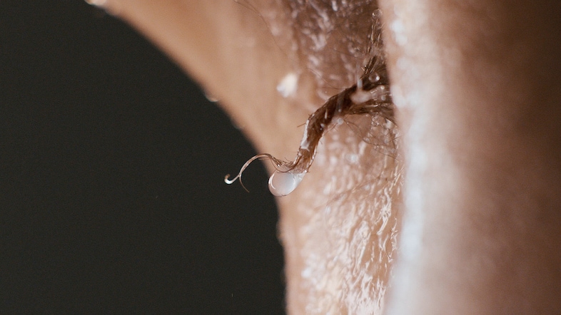 matt lambert sweat film nowness 