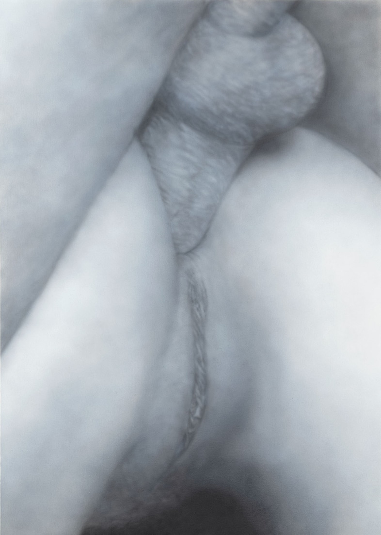 Art &amp; Porn, Betty Tompkins, F Painting #31, 2009