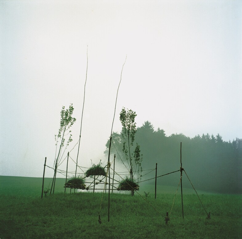 Nils-Udo, “Planet I” (2008)