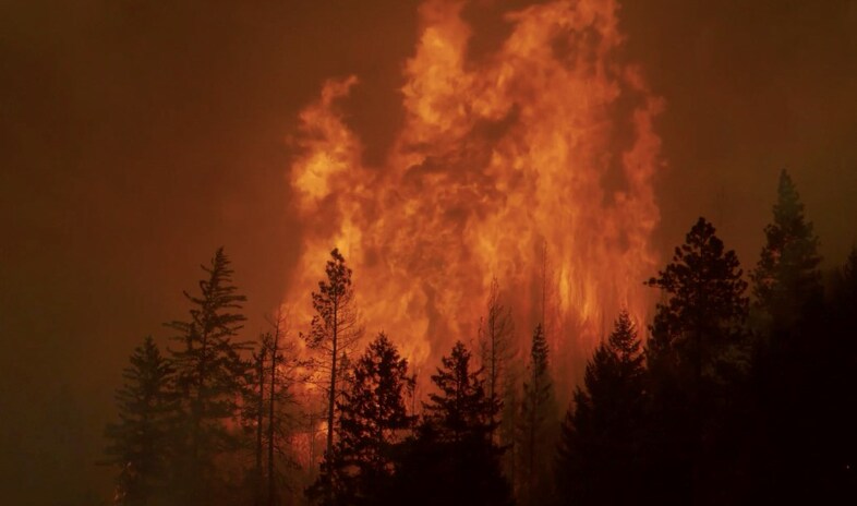 The World is (Y)Ours