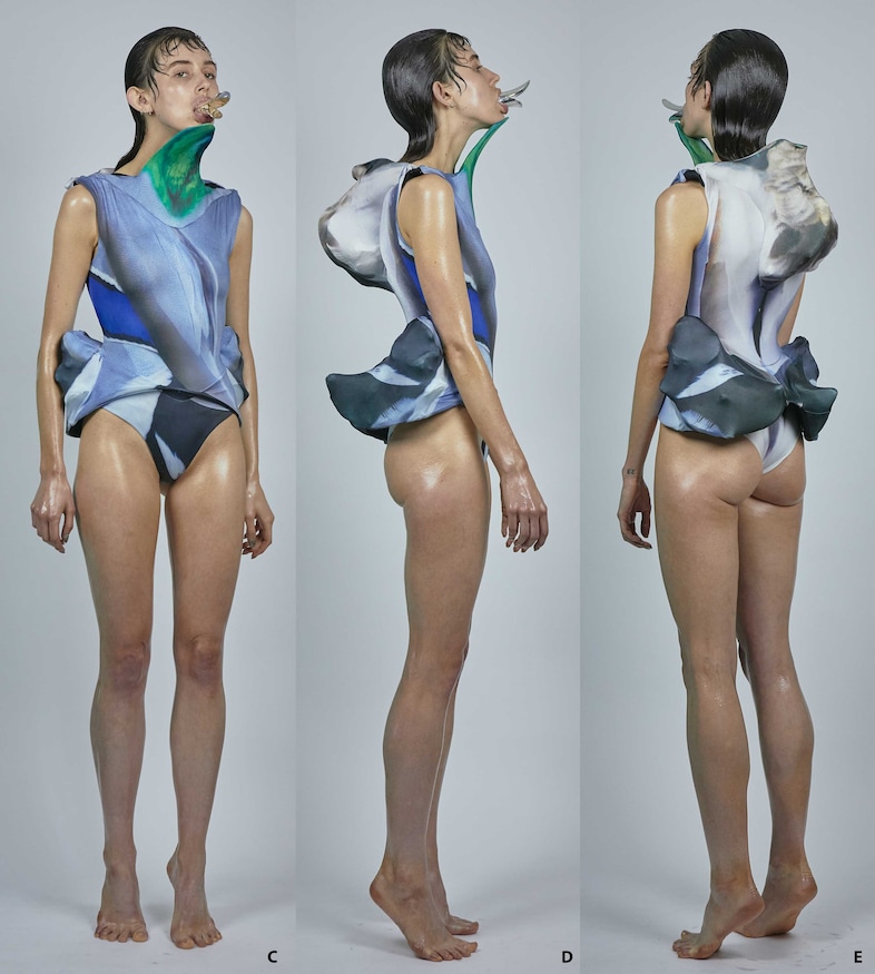 Danni Harris Human Animal fashion collection Saint Martins 5