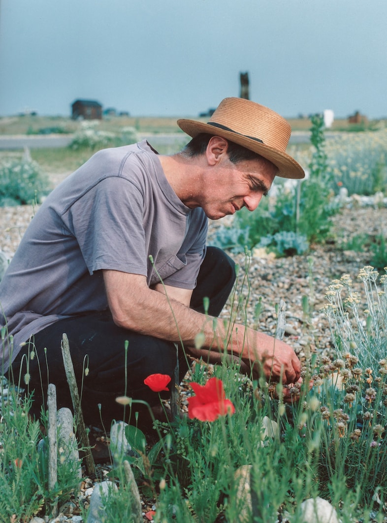 Save Derek Jarman’s house 2