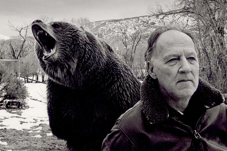 Grizzly Man, Werner Herzog