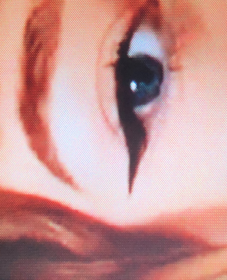 Chus &amp; Greg’s Quaranteen 36