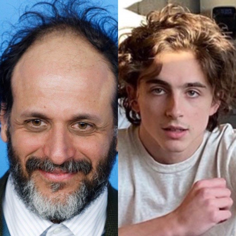 Timoth&#233;e Chalamet in Luca Guadagnino’s We Are Who We Are
