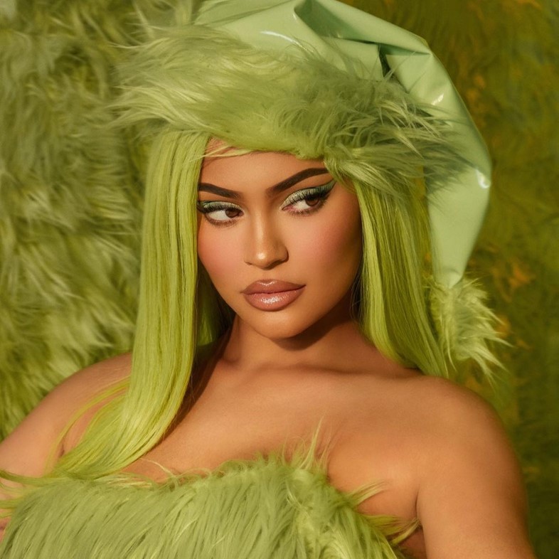 Kylie jenner cosmetics grinch collection makeup palette 