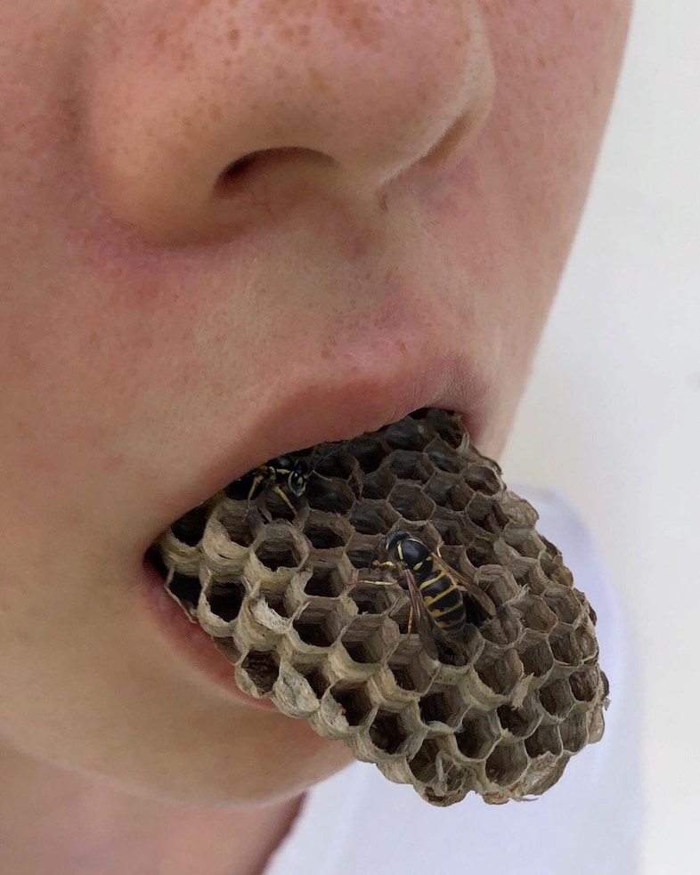 toucheconomy Tamara Obukhova artist instagram 2