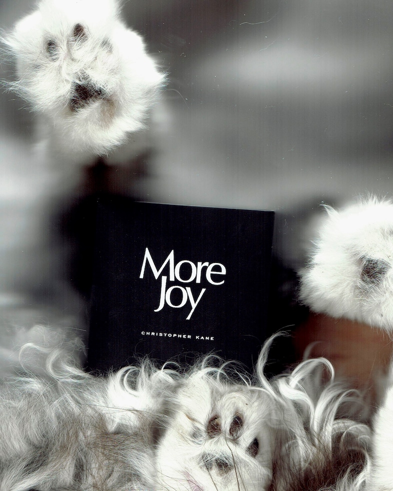 More Joy Mitch St&#246;hring 12 11