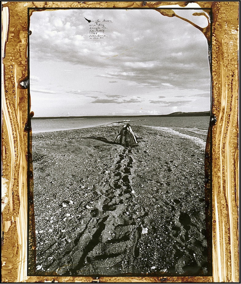Peter Beard, “Man without a dog, Ode to Bacon” 10