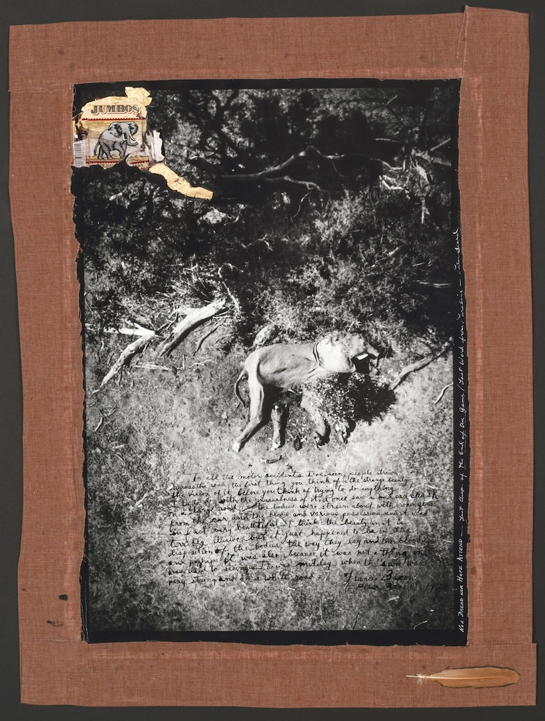 Peter Beard, “ICP Dead Elephant” (1971-2/1977) 9