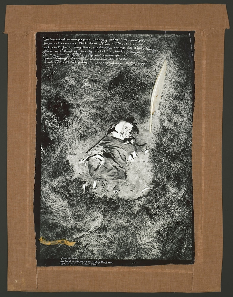 Peter Beard, “ICP Dead Elephant” (1971-2/1977) 5