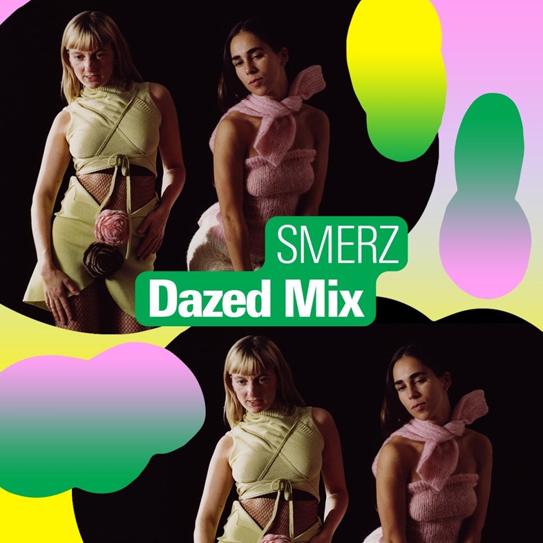 SMERZ (Article Cover)