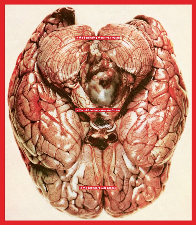 Barbara Kruger, “Untitled (Brain)” (2007) 15