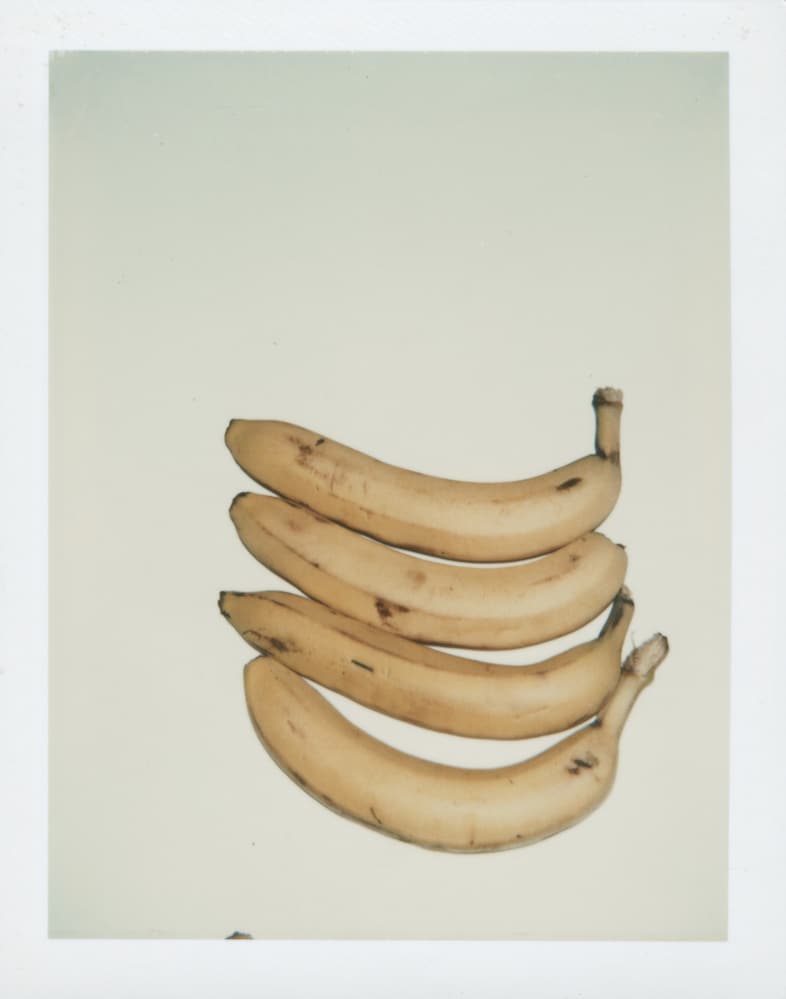 Andy Warhol, Bananas (1977-78), 1
