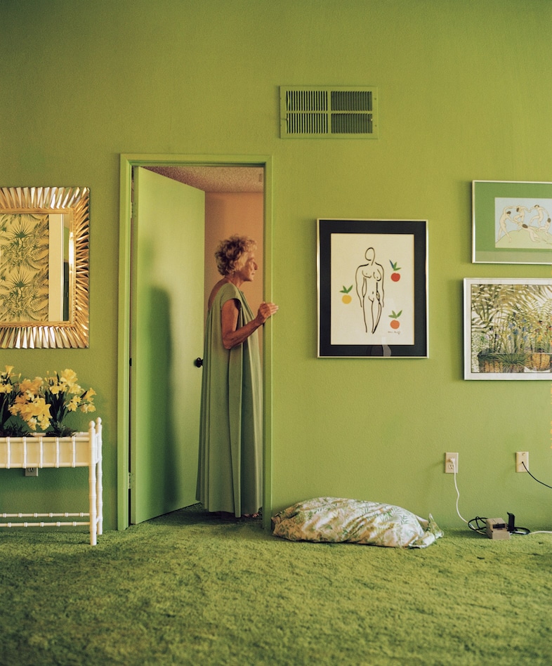 Larry Sultan, Pictures From Home 0